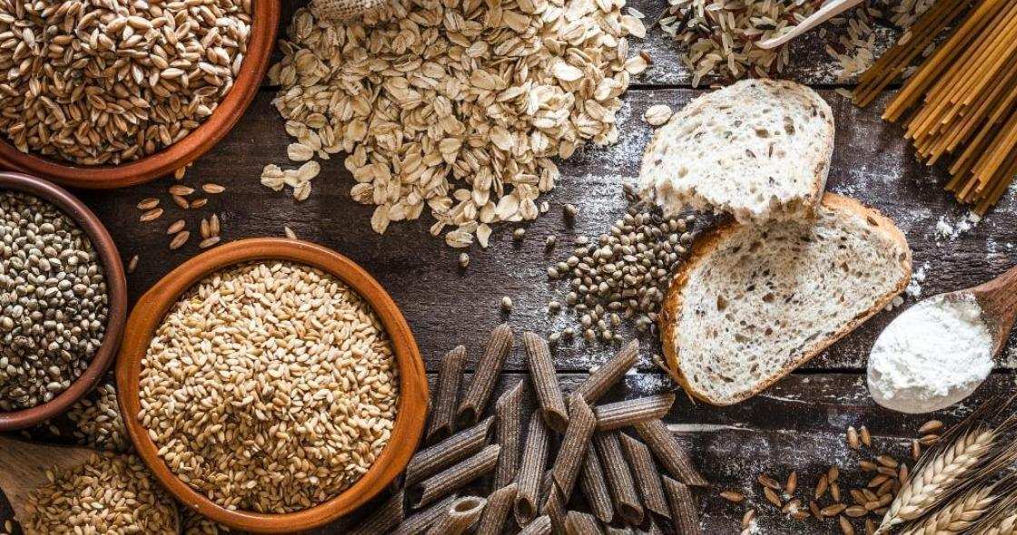 How the body uses carbohydrates and fats for energy